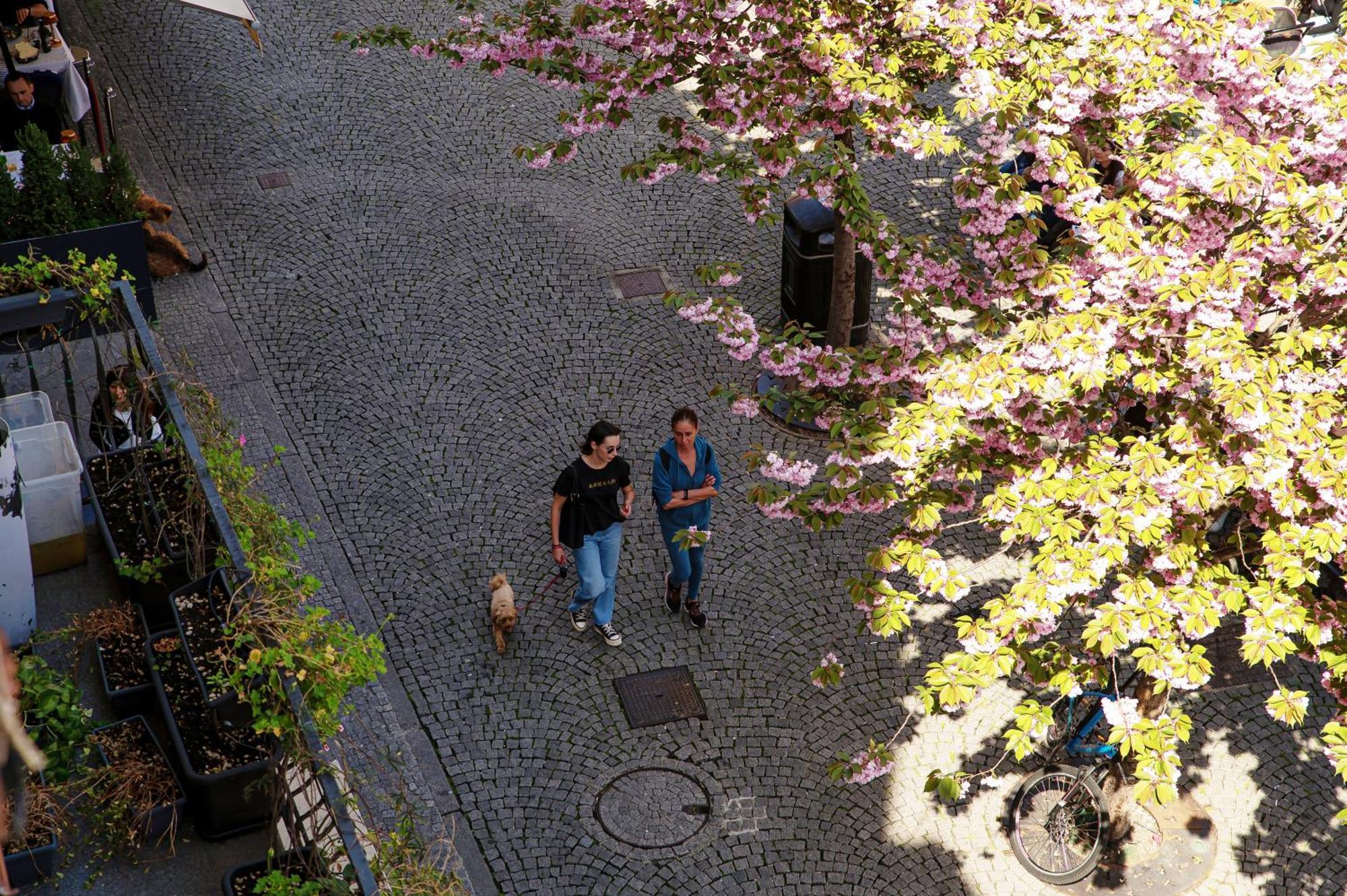 Fitzgerald Building - The House Of Travelers Apartman Como Szoba fotó